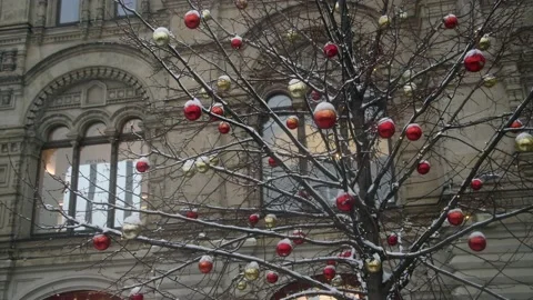 Christmas baubles hangs on bare tree Video stock 232874065