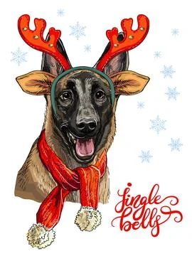 Christmas belgian shepherd malinois vector hand drawn illustration Stock Illustration