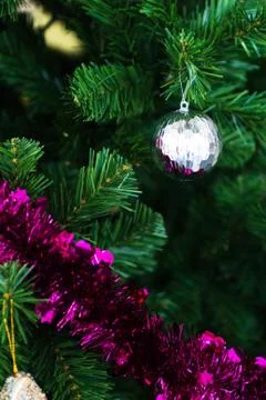 Christmas bells pine tree feeling full happy Stock Photos