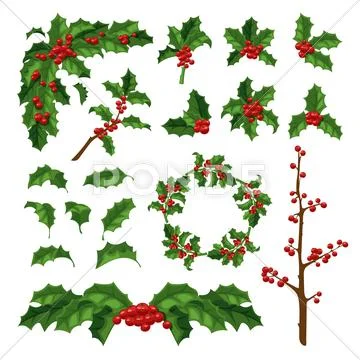 Christmas berry decoration vector set Stock Illustrationen