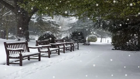 Christmas BG Loopable With Snowfall &amp; Green Tree  Background 04 Stock Footage 216494978
