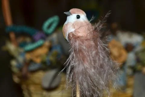 Christmas Bird Stock Photos