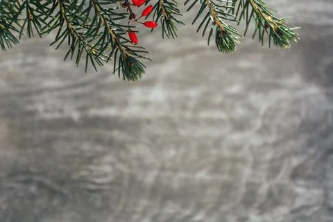 Christmas blurred background Stock Photos