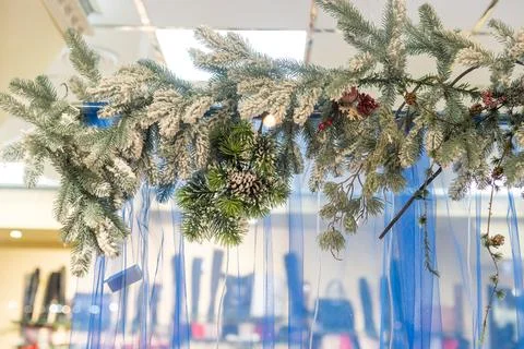 Christmas Border frame of tree branches on white background with copy space Foto stock