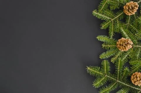 Christmas Border - tree branches with pine cones isolated on black, Flat lay Stock Photos