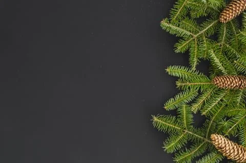 Christmas Border - tree branches with pine cones isolated on black, Flat lay Stock Photos