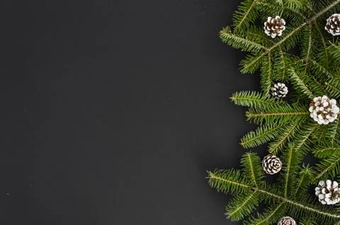 Christmas Border - tree branches with white hand painted pine cones isolated on Stock Photos