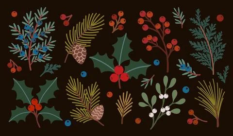 Christmas Botanical Elements Collection vector Stock-Illustration