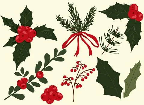 Christmas Botanical Elements Hand Drawn Set Stock Illustration