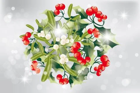 Christmas bouquet of holly and mistletoe Stock Illustration