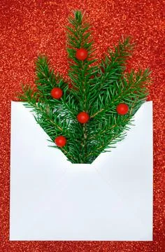 Christmas branch of fir in a white envelope, on a red background Stock Photos