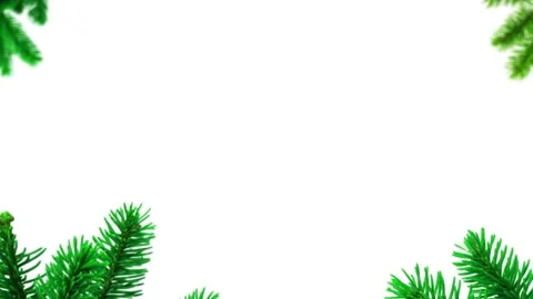 Christmas Branch Leaf Frame | Clean White Background Stock Footage 323505296