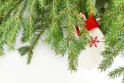 Christmas branch Stock Photos
