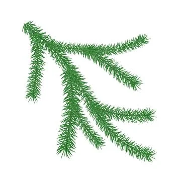 Christmas branch of pine element for web design. Nature abstract vector. illu Stock Illustration