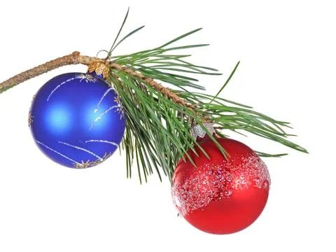 Christmas branch of a pine Stock Photos