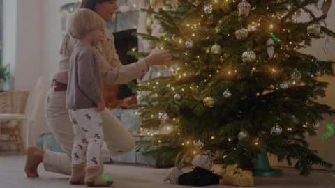 Christmas Branches And Vignettes And Titles Pack for After Effects Stock After Effects