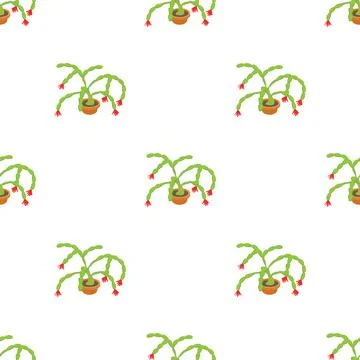 Christmas cactus pattern seamless vector Stockillustratie