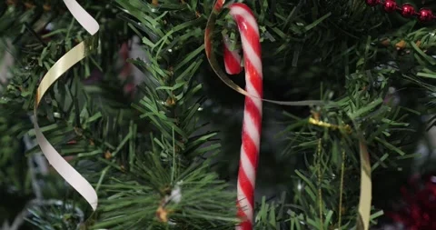 Christmas candy cane on artificial tree branch 4K video Stock Footage 297599361