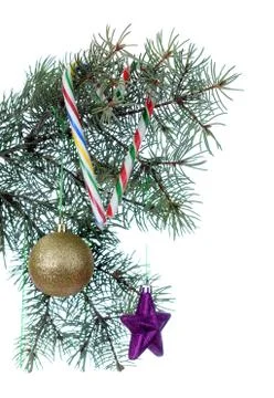 Christmas cane candy Stock Photos