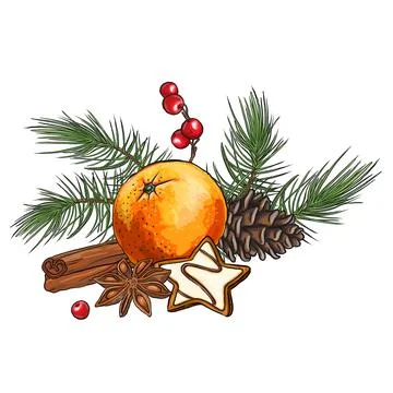 Christmas card with cookies. Hand drawn composition with cinnamon, red berr.. Stock Illustration