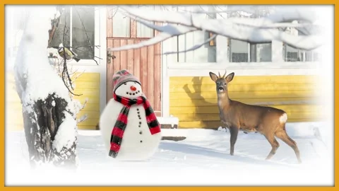 Christmas Card Stock Footage 165620549