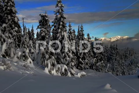 Christmas Card Stock Photos