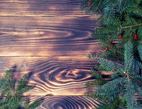 Christmas card, pine cones. Frame made of fir tree branches and fir cones Stock Photos