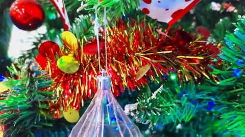 Christmas celebration Stock Footage 254660000