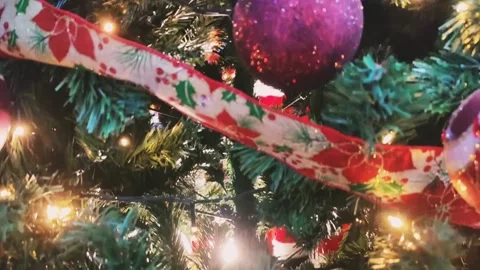 Christmas celebration Stock Footage 254660004