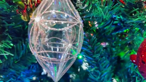 Christmas celebration Stock Footage 254660006