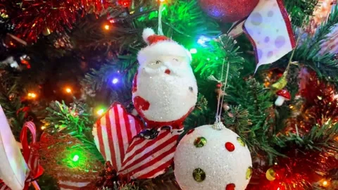 Christmas celebration Stock Footage 254660007