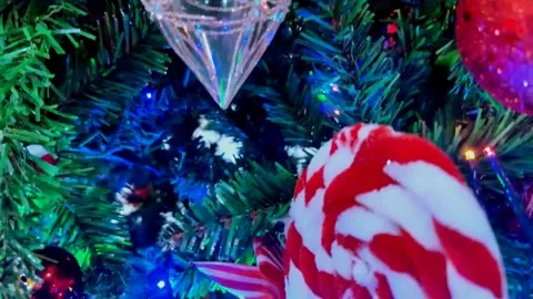 Christmas celebration Stock Footage 254660008