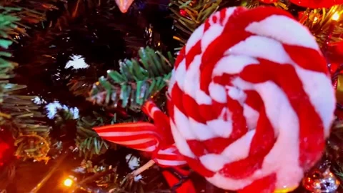 Christmas celebration Stock Footage 254660051