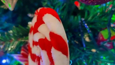 Christmas celebration Stock Footage 254660070