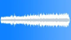 Christmas Celebration Stock Music