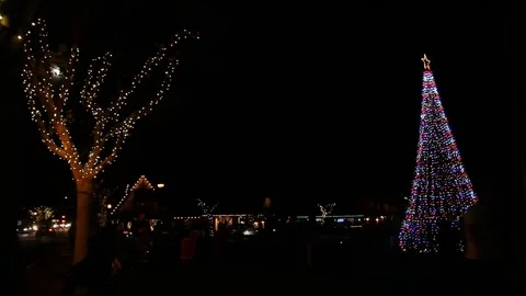 Christmas celebration in park Stock Footage 83247488