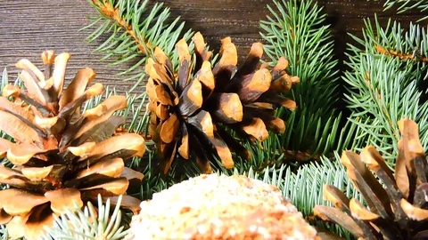 Christmas chocolate log. Stock Footage 102061743