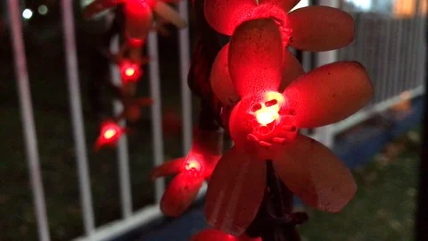 Christmas colored lights close up. 18 Stock Footage 98515523