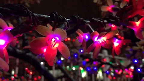Christmas colored lights close up. 19 Video stock 98515522
