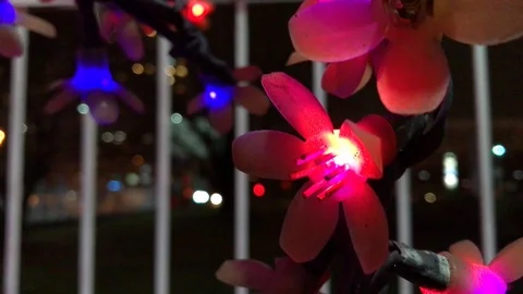 Christmas colored lights close up. 7 Stock Footage 98515539