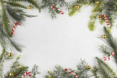 Christmas composition branches with candy canes. High quality photo Stock Photos