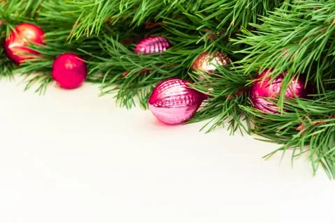Christmas composition with branches of Christmas tree Stock Photos