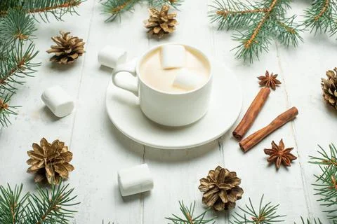 Christmas composition. A coffee with a marshmallow, pine cones, spruce branch Stock Photos