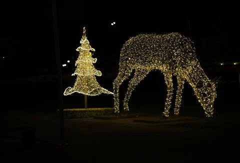 Christmas composition consisting of deer and tree. Stock Photos