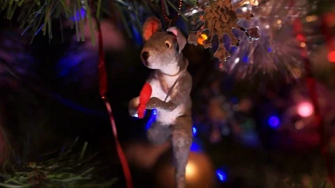 Christmas composition Stock Footage 121843053