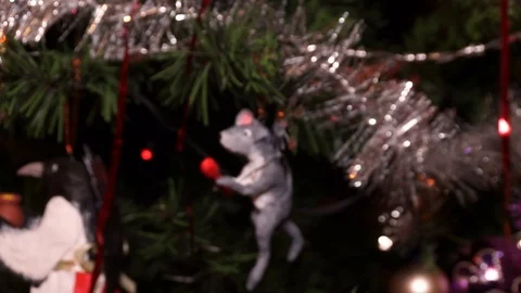 Christmas composition Stock Footage 121843081