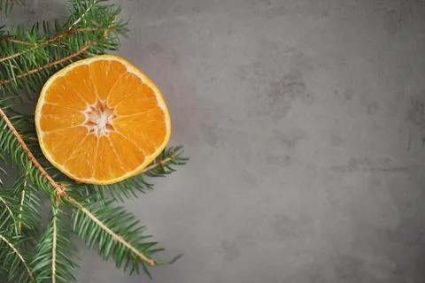 Christmas composition on a gray painted background with fir branches, fruits Stock Photos