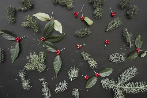 Christmas composition of green branches. High quality photo Stock Photos