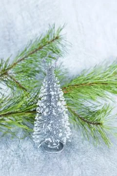 Christmas composition Stock Photos