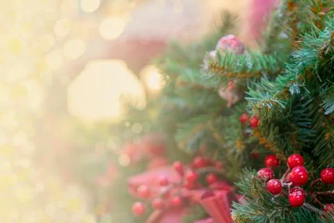 Christmas composition. Stock Photos